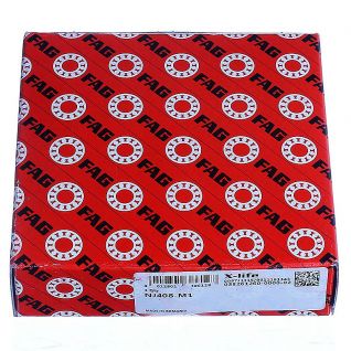 FAG Cylindrical Roller Bearing