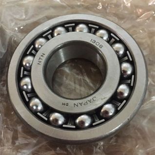 NTN Self-Aligning Ball Bearing