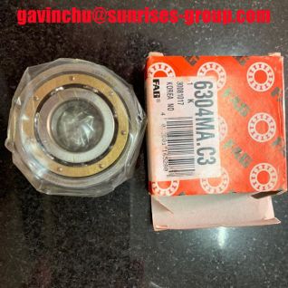 FAG Deep Groove Ball Bearing