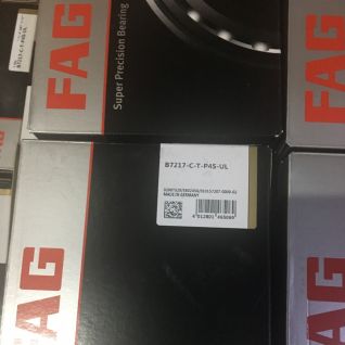 FAG Spindle Bearing